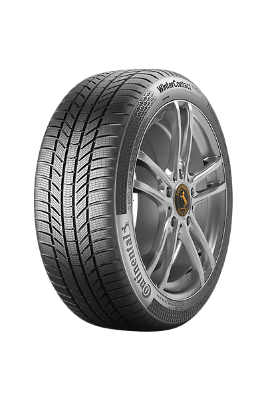 Däck Vinter CONTINENTAL WinterContTS870P 225/55 R19 99/V